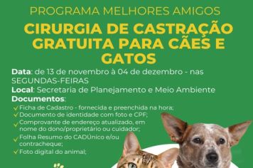 PROGRAMA MELHORES AMIGOS 