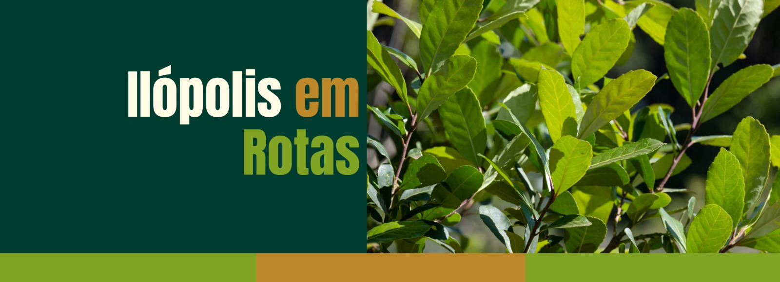 Pontos Turísticos